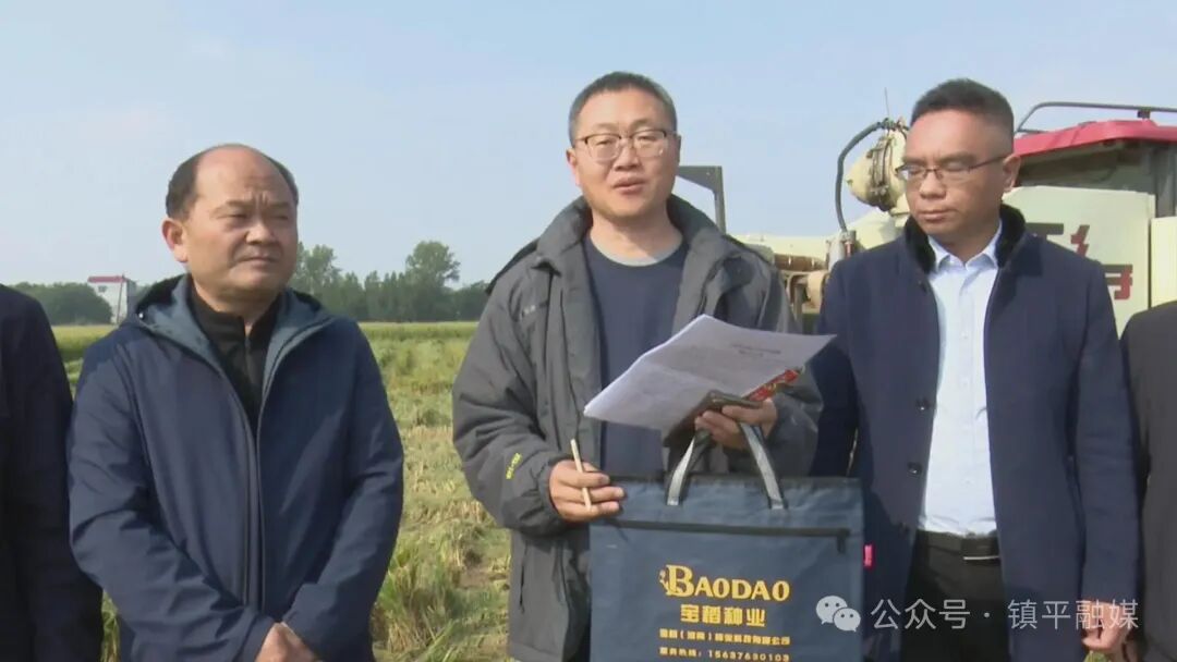 打造枢纽经济先行区丨镇平:节水抗旱稻种植为农业高质量发展注入“新引擎” 打造枢纽经济先行区丨镇平:节水抗旱稻种植为农业高质量发展注入“新引擎”