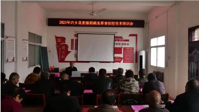 内乡:农技服务到一线 筑牢小麦播种“防护网” 内乡:农技服务到一线 筑牢小麦播种“防护网”