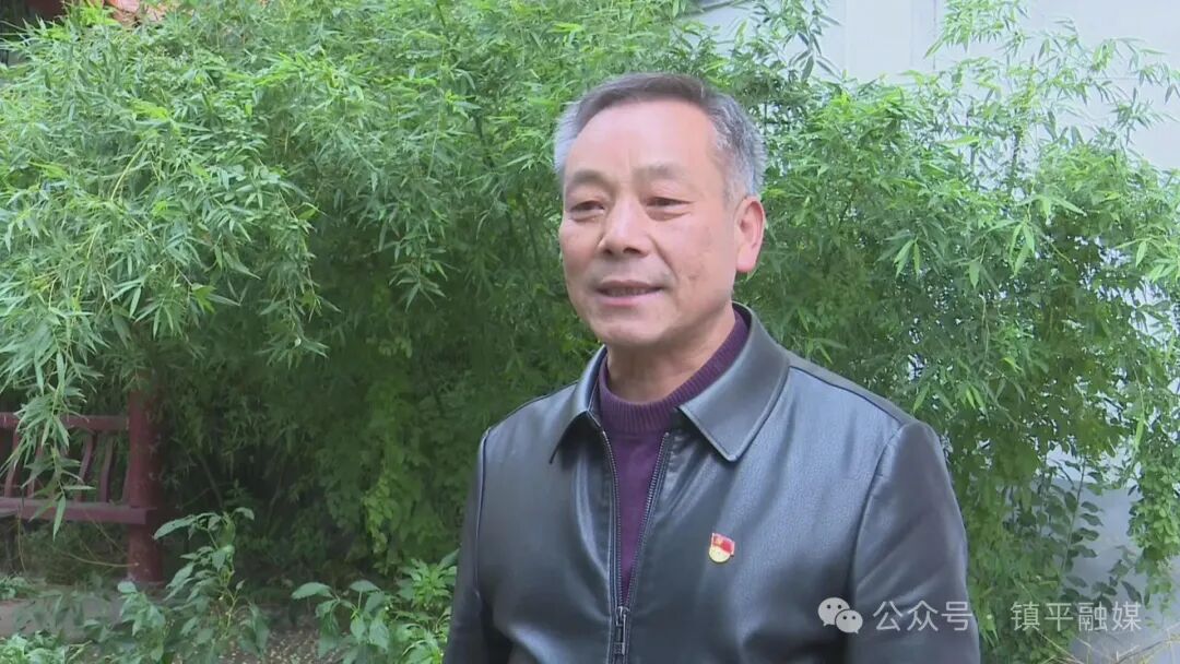 打造枢纽经济先行区丨镇平:节水抗旱稻种植为农业高质量发展注入“新引擎” 打造枢纽经济先行区丨镇平:节水抗旱稻种植为农业高质量发展注入“新引擎”