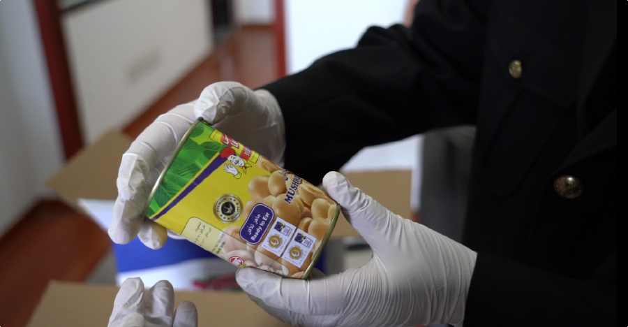 “上车”即“登船” 豫西南货物出海实现“公海直运”