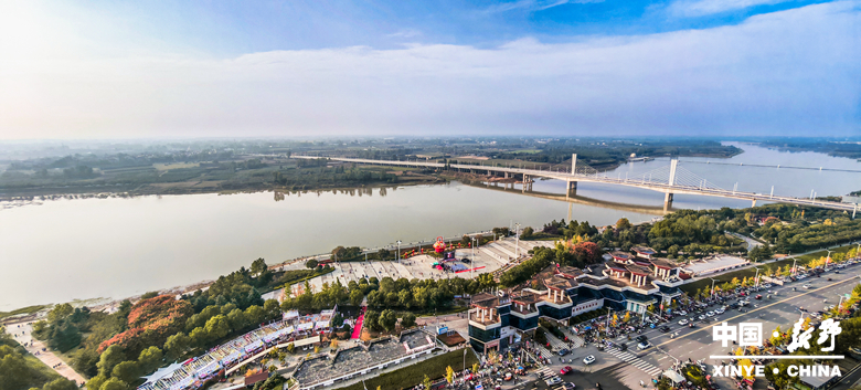 古城新野万菊绽放，每一帧画面都是“享美好生活”的模样