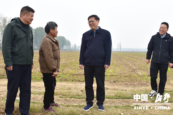 县委书记赵红亮调研指导小麦备播工作