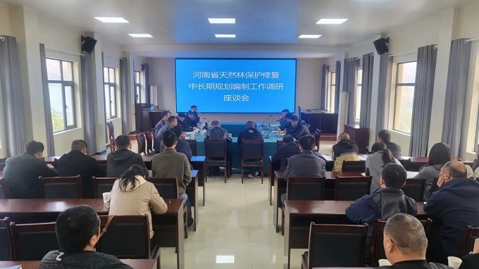 省林业生态建设发展中心到黄石庵林场开展天然林保护修复规划调研工作