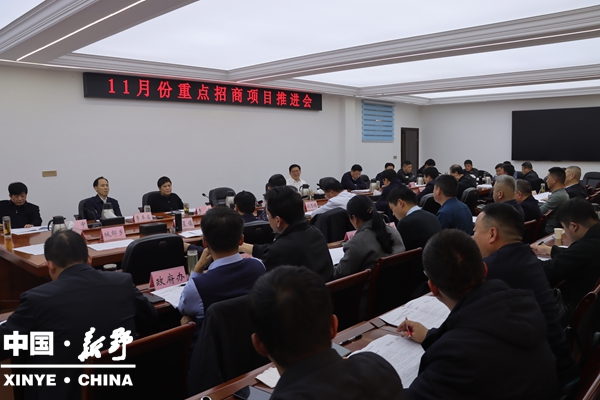 新野县召开11月份重点招商项目推进会