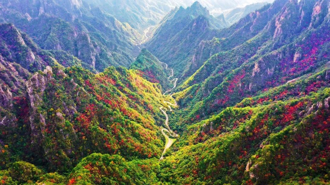 南阳：一个值得三顾的地方