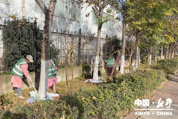 县城管局园林中心精细化提升赋能树木涂白