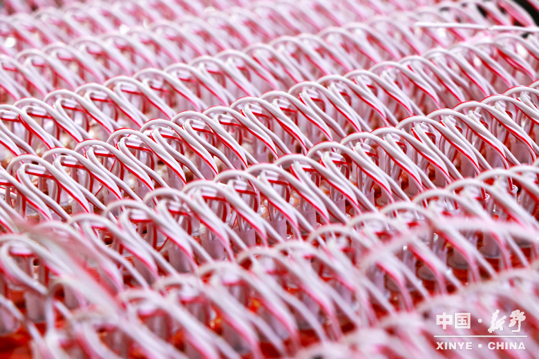 新野发展·实景绘卷——新甸铺镇