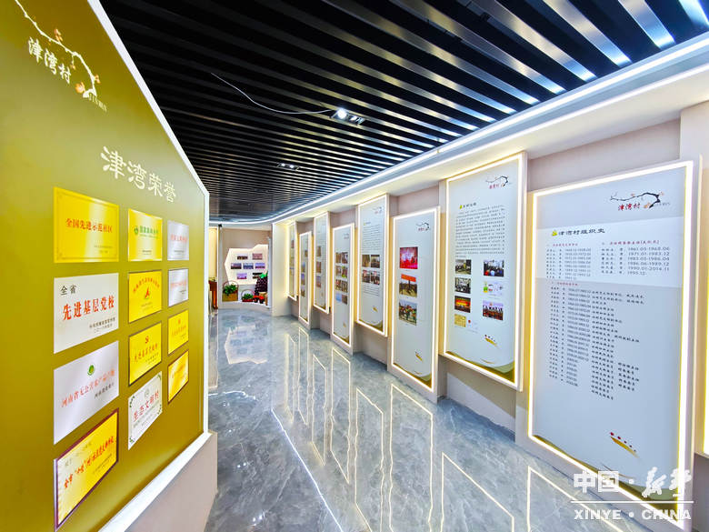 新野发展·实景绘卷——新甸铺镇