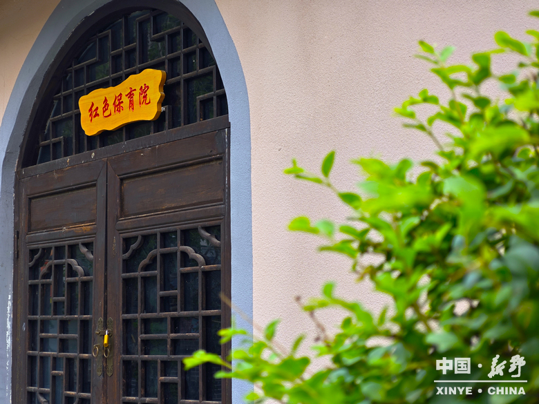 新野发展·实景绘卷——新甸铺镇