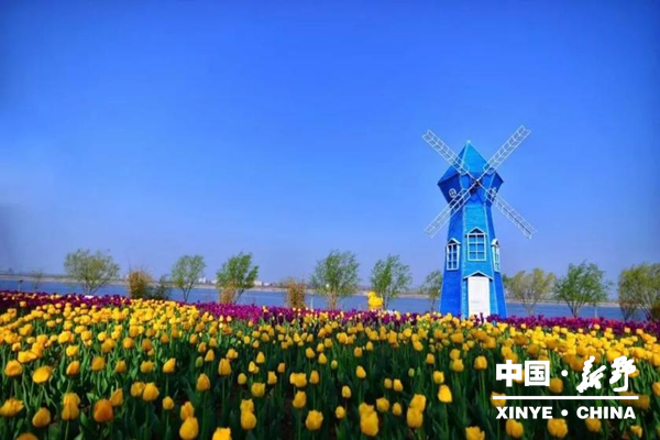 白河滩公园即将跻身国家4A级景区