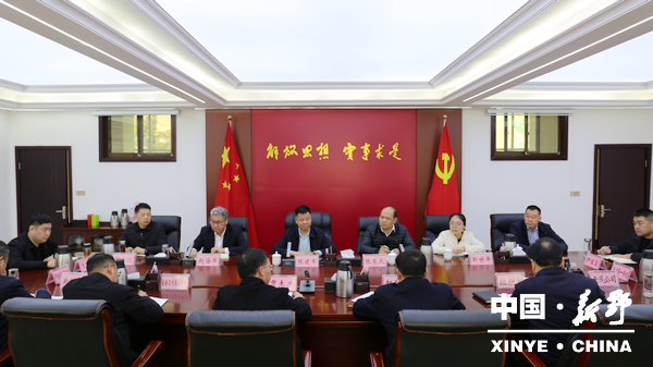 中原银行到新野调研“四议两公开”线上平台“乡村在线”APP应用推广情况