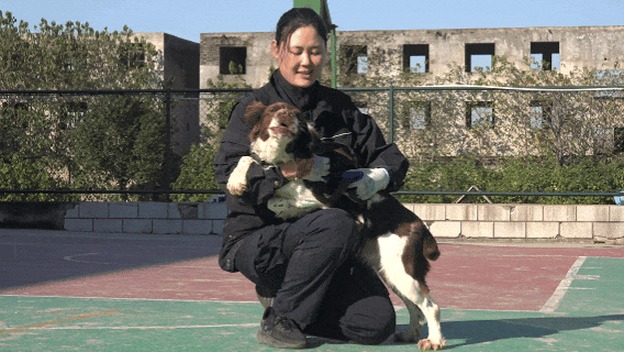 南阳“汪汪队”，不卖萌只守护