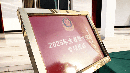 巴万！勇夺第一！