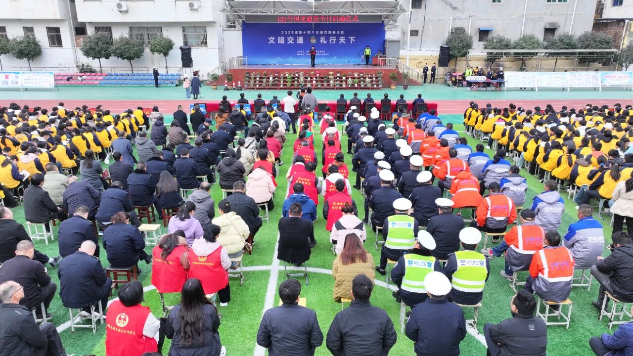 “一校四镇”齐行动！桐柏县第十四个全国交通安全日宣传全面铺开