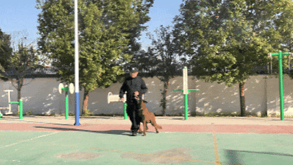 巴万！勇夺第一！