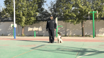 巴万！勇夺第一！