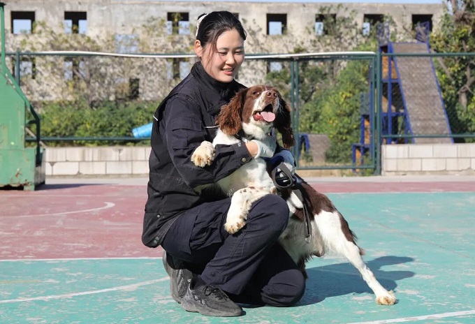 南阳“汪汪队”，不卖萌只守护