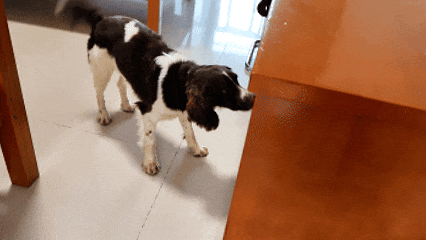 巴万！勇夺第一！