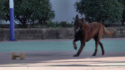 巴万！勇夺第一！