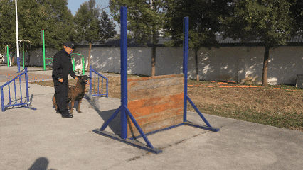 巴万！勇夺第一！