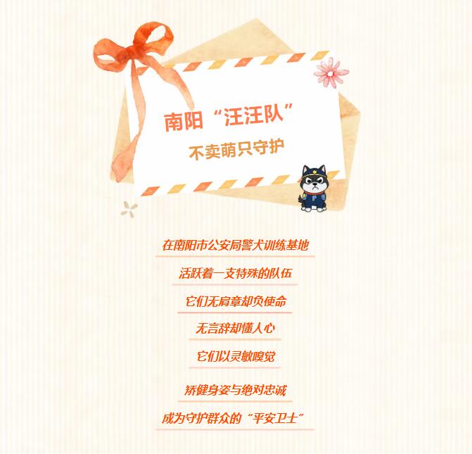 南阳“汪汪队”，不卖萌只守护