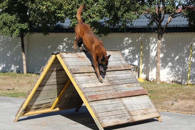 巴万！勇夺第一！