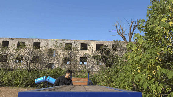 南阳“汪汪队”，不卖萌只守护