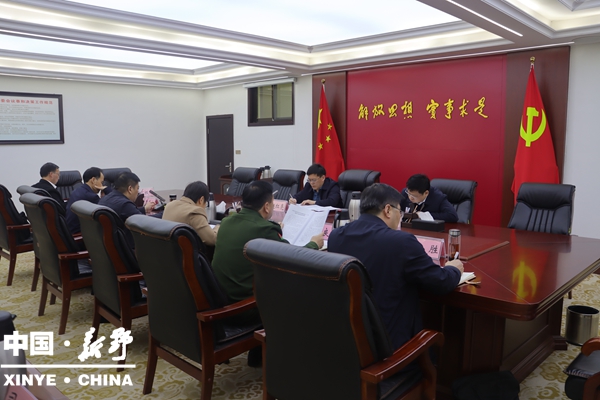 新野县委常委会会议学习习近平总书记在中共中央政治局第二十三次集体学习时的重要讲话精神