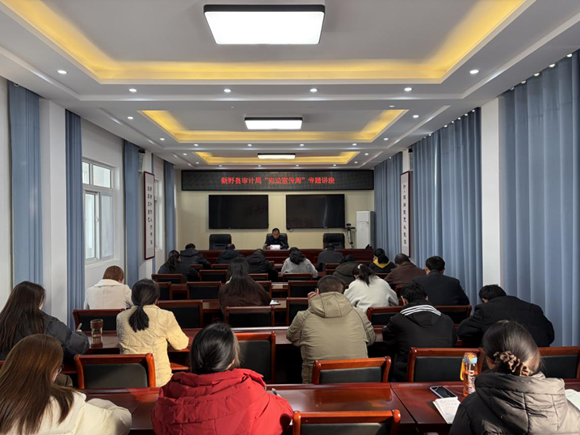 南阳市审计机关开展2025年“国家宪法日”宣传活动