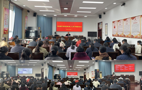 南阳市宛城区审计局开展基层财务人员专题培训