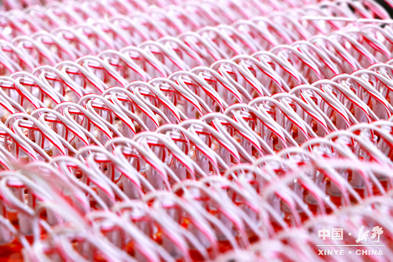 小元件大产业 新野光电强势崛起