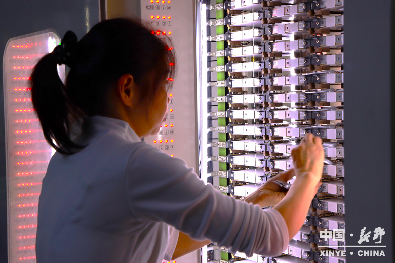 小元件大产业 新野光电强势崛起