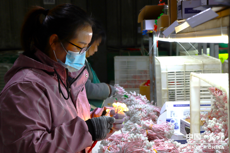 小元件大产业 新野光电强势崛起