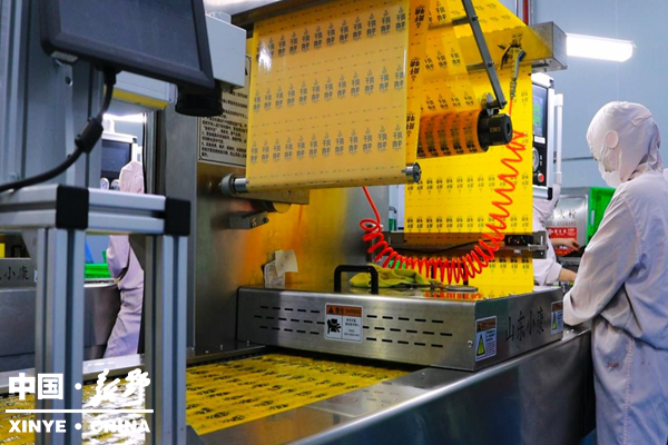 新野肉牛产业绘就乡村振兴新画卷