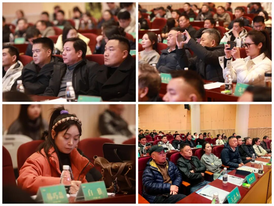 玉商充电新平台——镇平县“玉商大讲堂”正式开讲