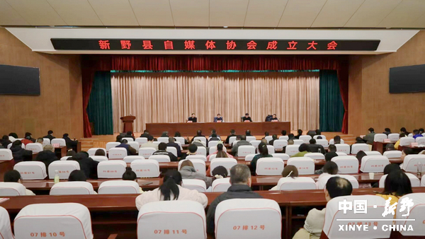 新野县自媒体协会正式成立