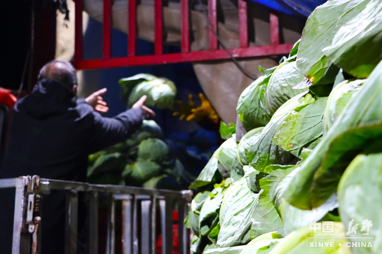 晨露裹星河，菜畦织冬暖——袁庄村的冬蔬烟火