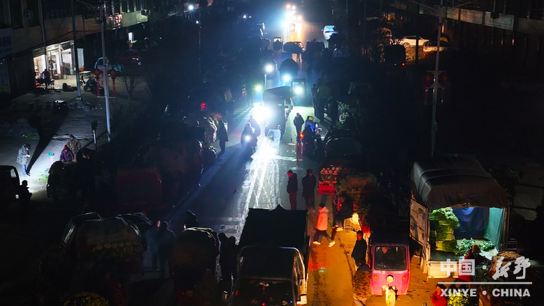 晨露裹星河，菜畦织冬暖——袁庄村的冬蔬烟火