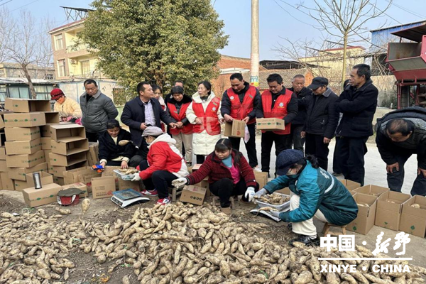 科技特派员田间传技 赋能农业高质量发展