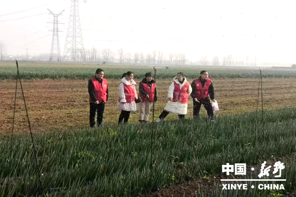 科技特派员田间传技 赋能农业高质量发展