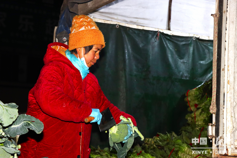 晨露裹星河，菜畦织冬暖——袁庄村的冬蔬烟火