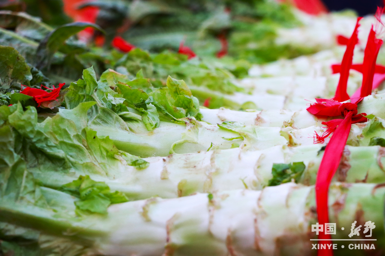 晨露裹星河，菜畦织冬暖——袁庄村的冬蔬烟火