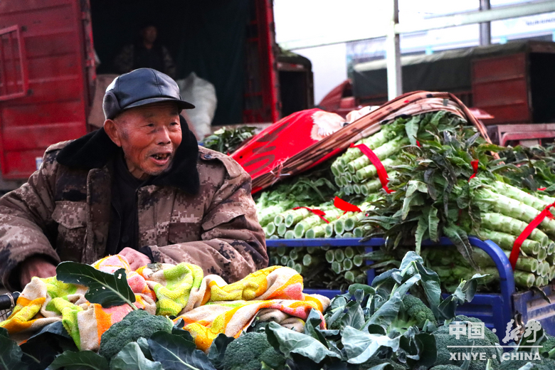 晨露裹星河，菜畦织冬暖——袁庄村的冬蔬烟火