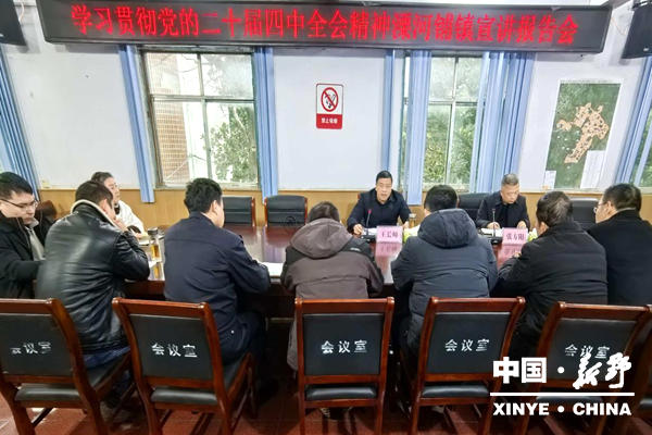 县领导王长师到溧河铺镇宣讲党的二十届四中全会精神