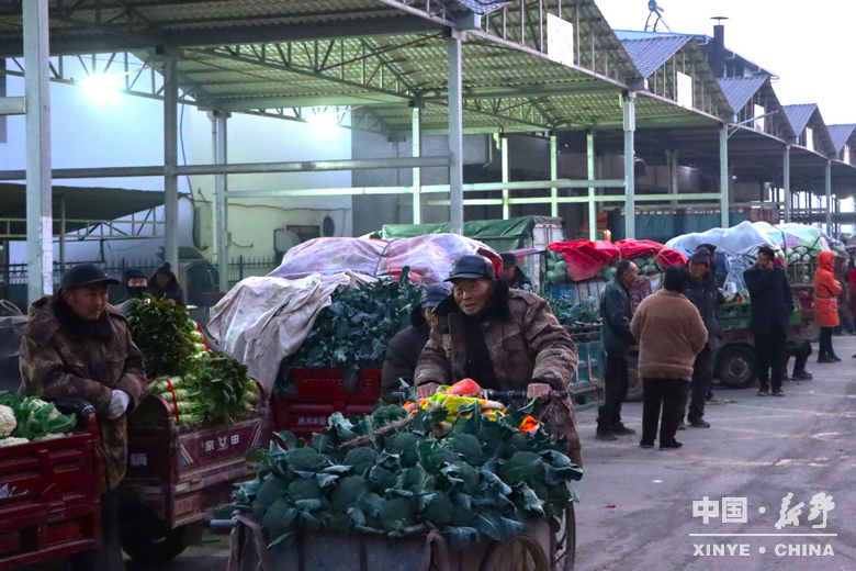 晨露裹星河，菜畦织冬暖——袁庄村的冬蔬烟火