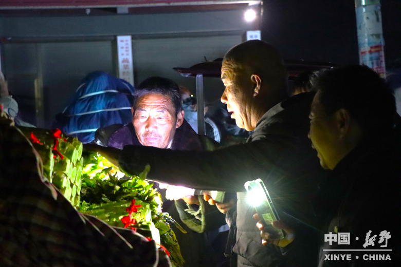 晨露裹星河，菜畦织冬暖——袁庄村的冬蔬烟火