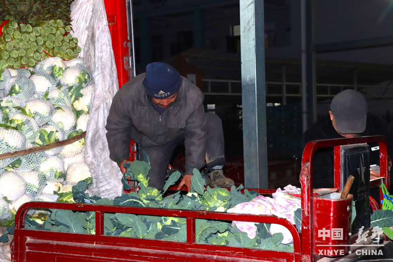 晨露裹星河，菜畦织冬暖——袁庄村的冬蔬烟火