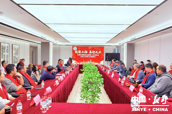 上海新野商会成立十周年庆典暨2026年年会圆满举办