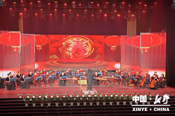 新野县2026年新年音乐会倾情奏响