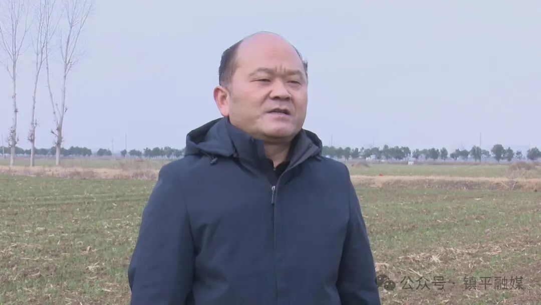 镇平：专家地头开“良方”&nbsp; 农户田里保“粮仓”